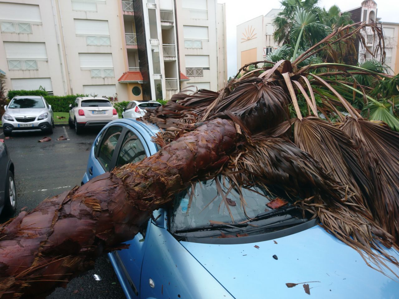 Imagem de capa - Novo furacão no Caribe: pastor conta o que viu
